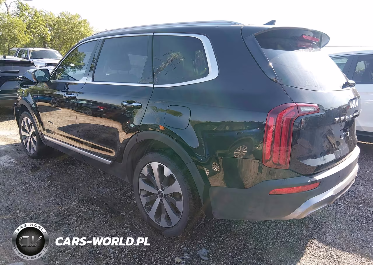 2022 Kia Telluride S VIN:5XYP64HC8NG229062 - 3