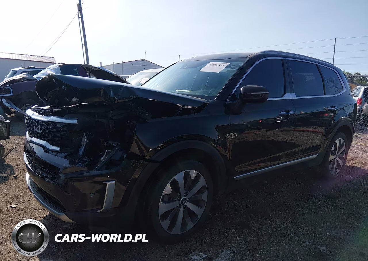 2022 Kia Telluride S VIN:5XYP64HC8NG229062 - 6
