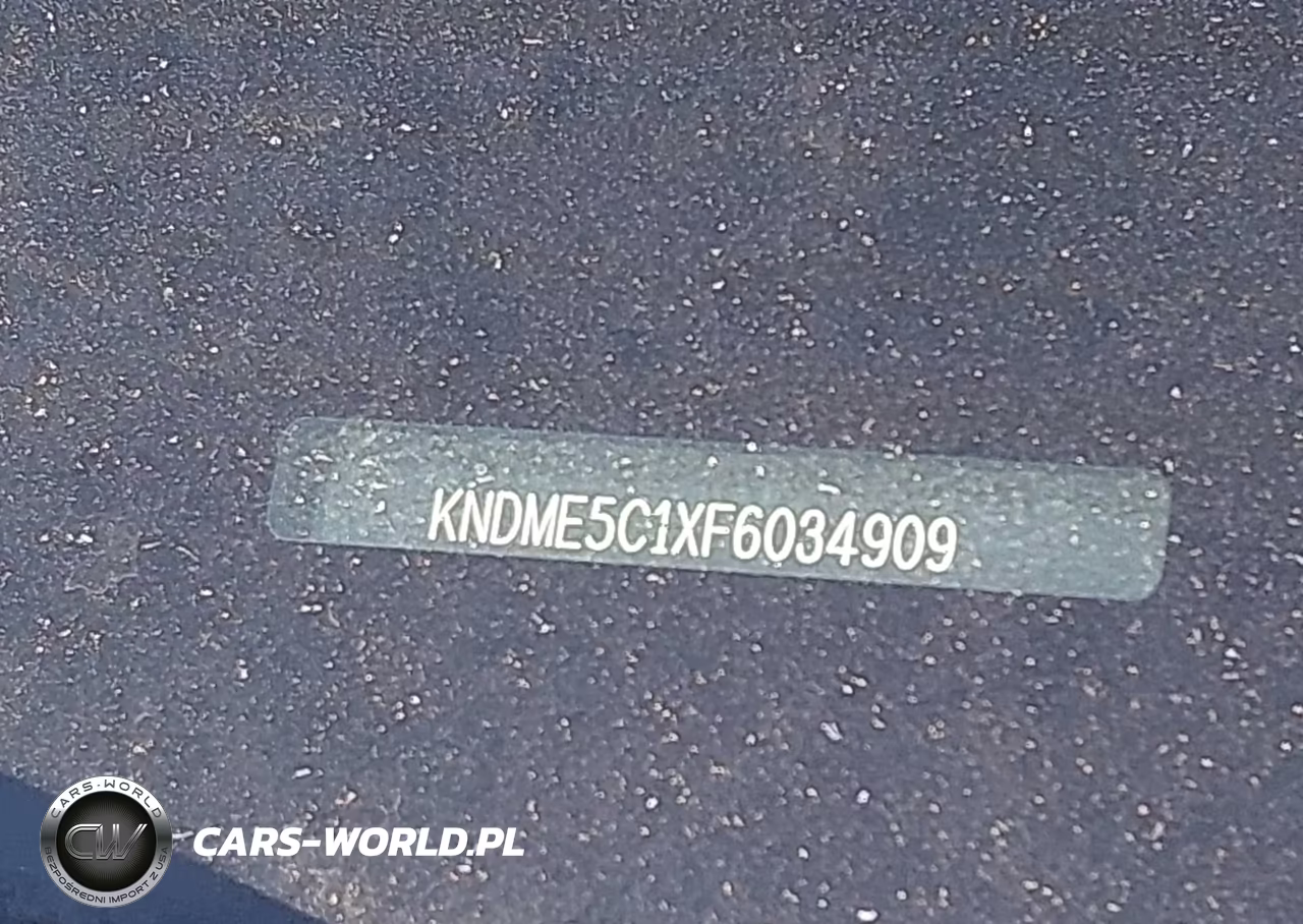 2015 Kia Sedona Sx Luxury VIN:KNDME5C1XF6034909 - 17