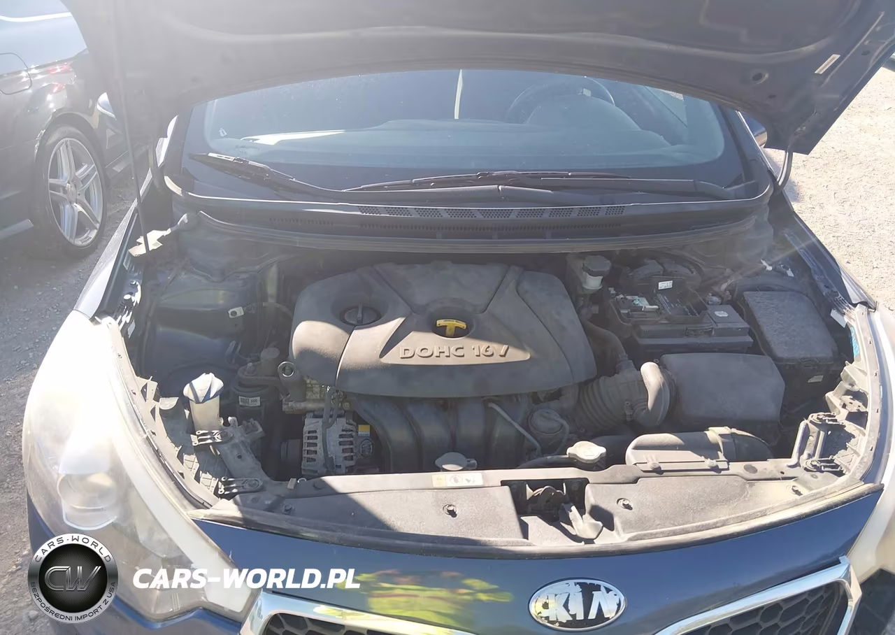 2015 Kia Forte Lx VIN:KNAFX4A67F5287734 - 10