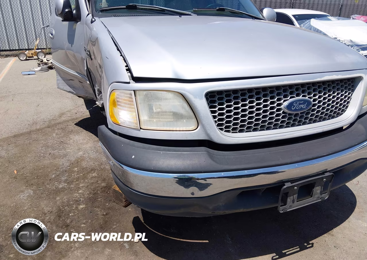 1999 Ford F-150 Lariat-Work Series-Xl-Xlt VIN:1FTRX17W8XKA28257 - 18