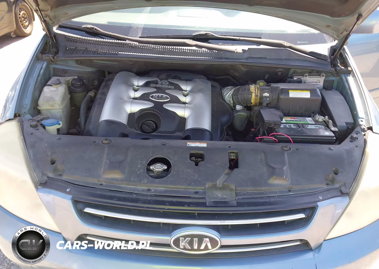 2006 Kia Sedona Ex-Lx VIN:KNDMB233066097400 - 10