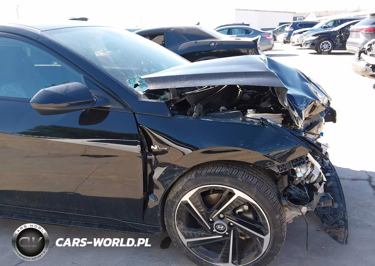 2023 Hyundai Elantra N Line VIN:KMHLR4AF2PU392183 - 17