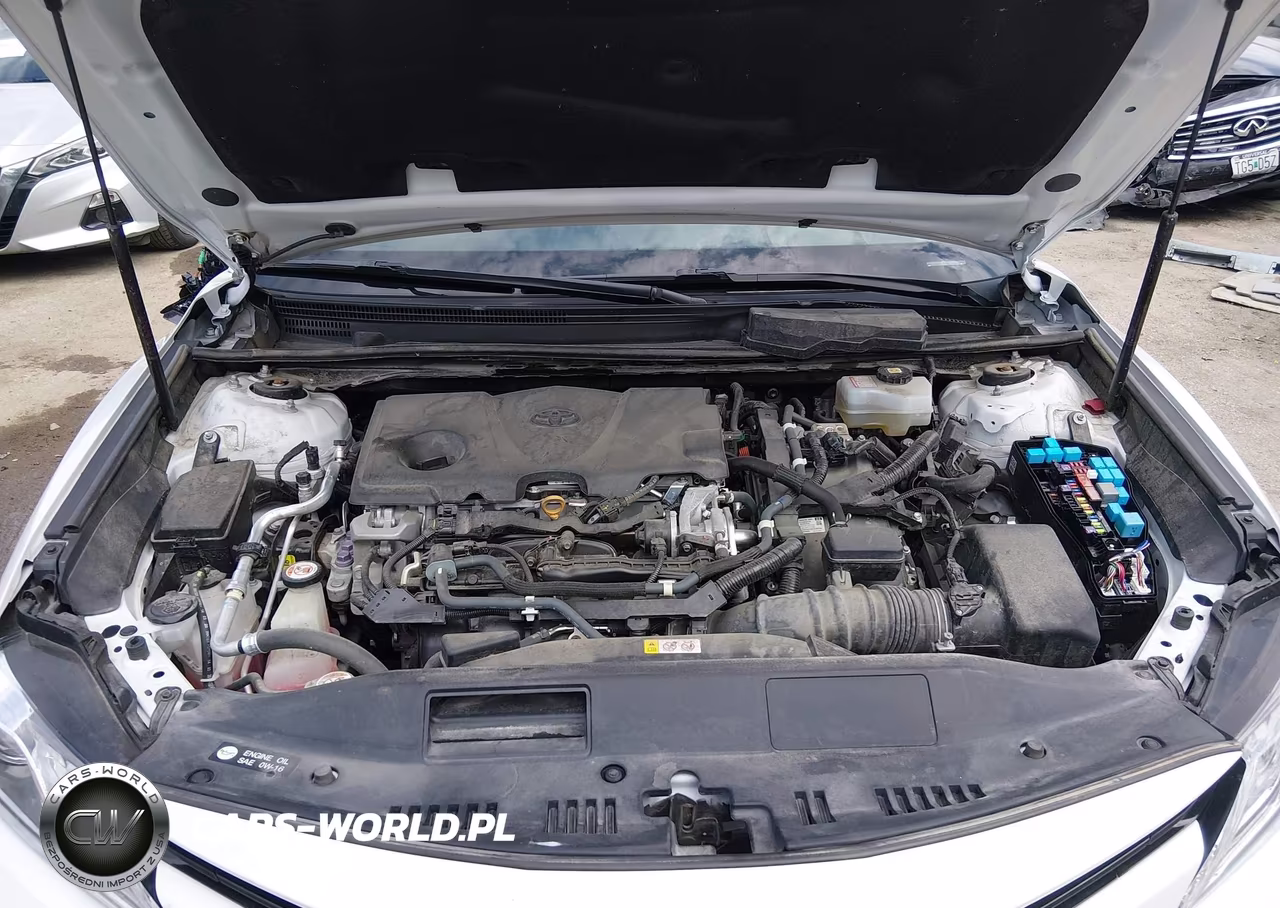 2020 Toyota Camry Xle Hybrid VIN:4T1F31AKXLU545008 - 10