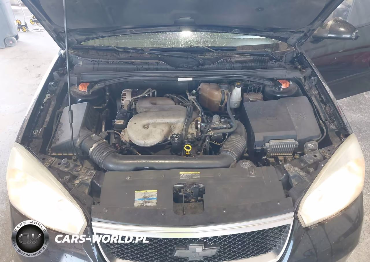 2006 Chevrolet Malibu Ss VIN:1G1ZW53176F167994 - 10