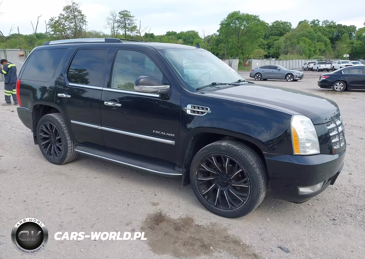 Główne zdjęcie 2011 Cadillac Escalade Luxury