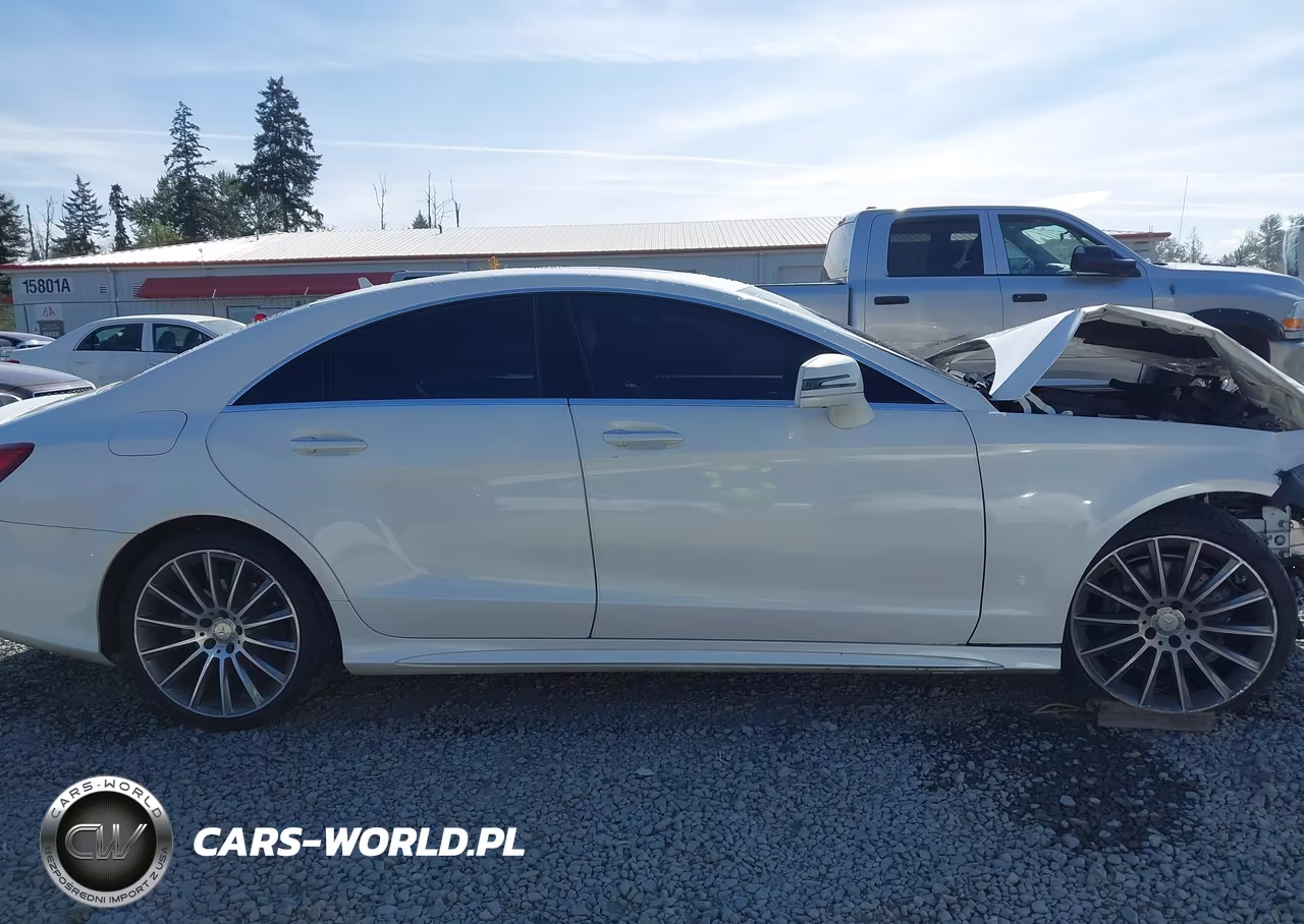 2016 Mercedes-Benz Cls 400 VIN:WDDLJ6FB8GA163558 - 14