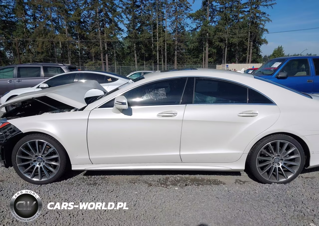 2016 Mercedes-Benz Cls 400 VIN:WDDLJ6FB8GA163558 - 15