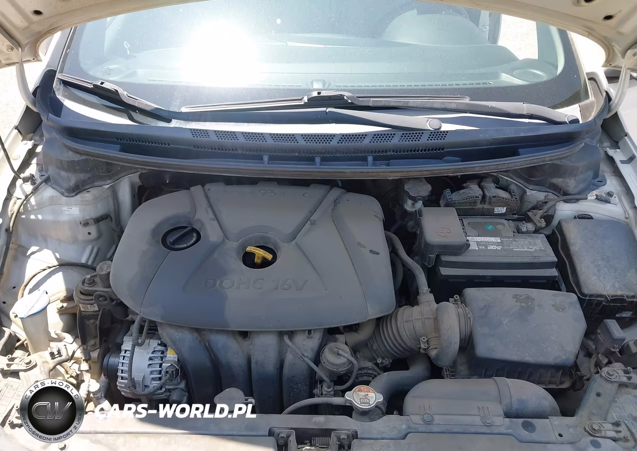 2014 Kia Forte Lx VIN:KNAFK4A65E5075928 - 10