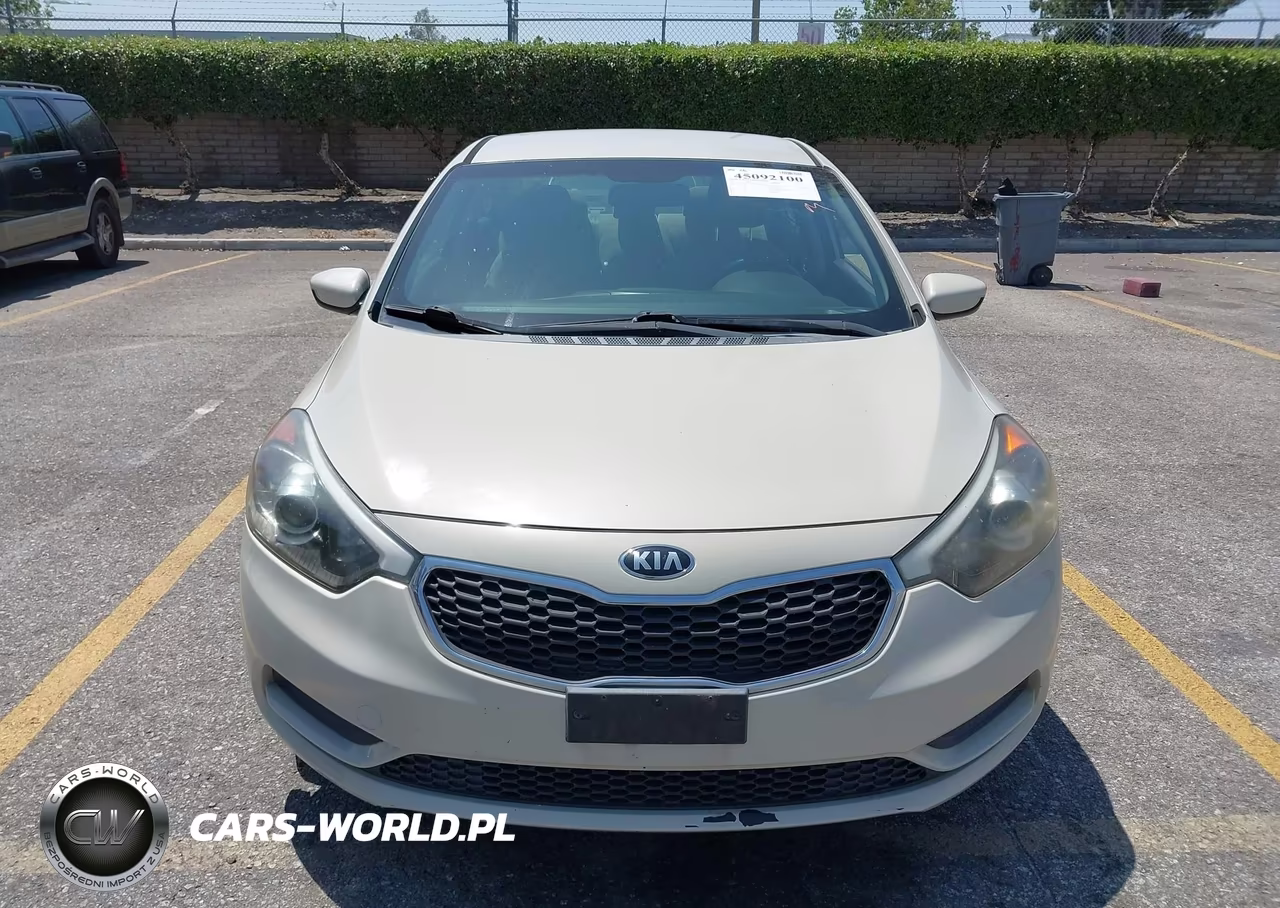 2014 Kia Forte Lx VIN:KNAFK4A65E5075928 - 12