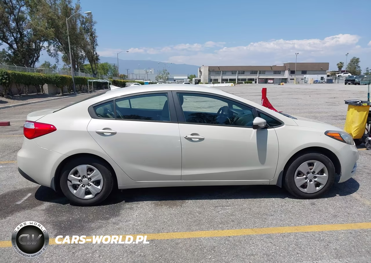 2014 Kia Forte Lx VIN:KNAFK4A65E5075928 - 13