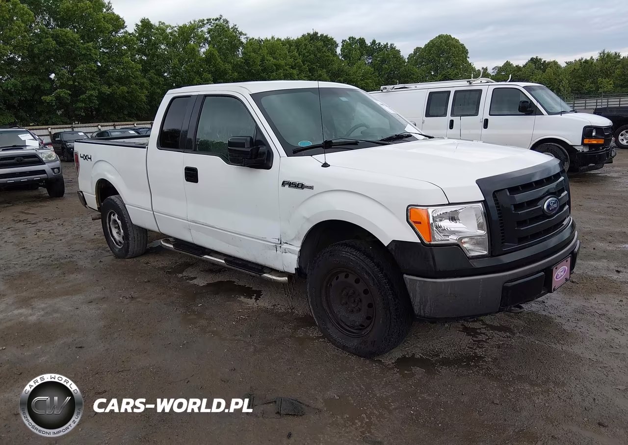 Główne zdjęcie 2010 Ford F-150 Fx4-Lariat-Xl-Xlt