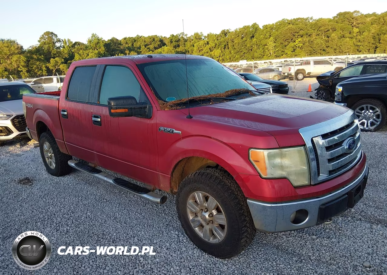 2009 Ford F-150 Xlt