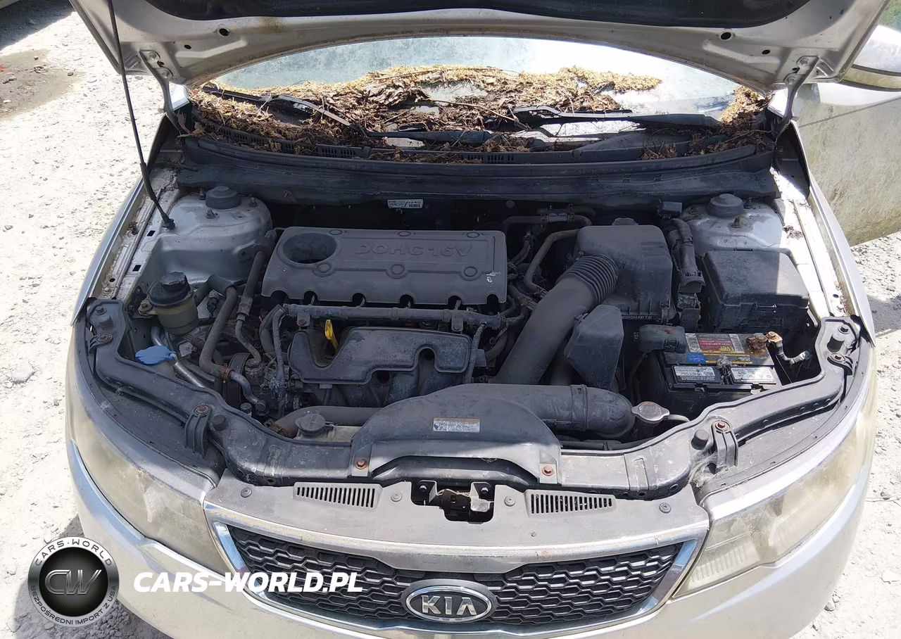 2012 Kia Forte Ex VIN:KNAFU5A25C5481671 - 10