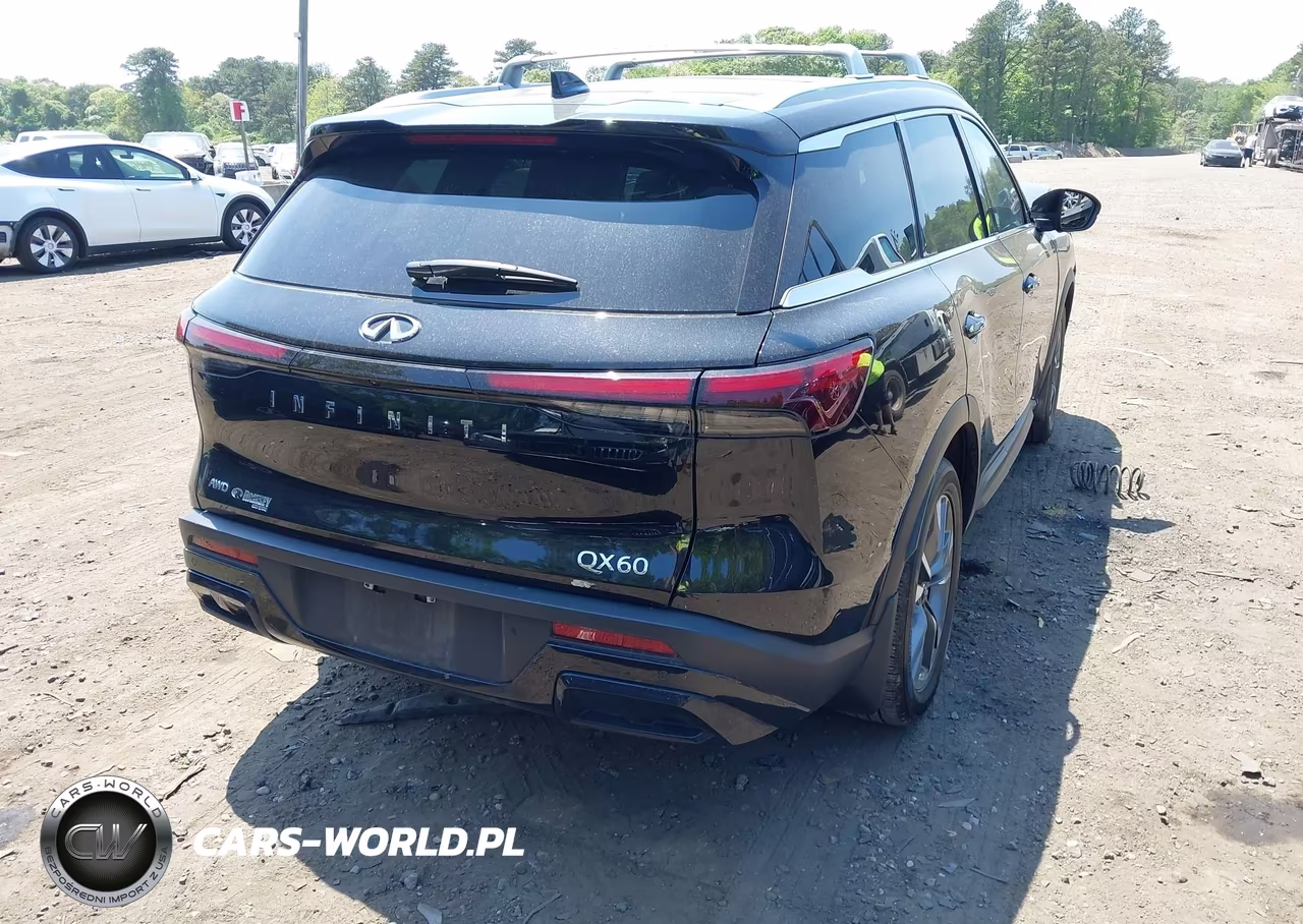 2025 Infiniti Qx60 Luxe Awd VIN:5N1AL1FS3SC336359 - 4