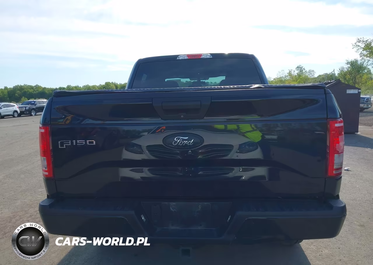 2017 Ford F-150 Xl VIN:1FTEW1EP2HFB63757 - 16