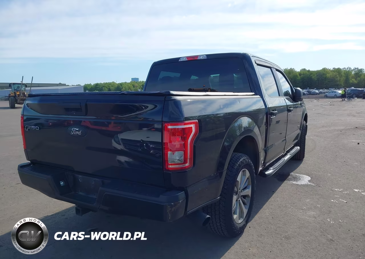 2017 Ford F-150 Xl VIN:1FTEW1EP2HFB63757 - 4
