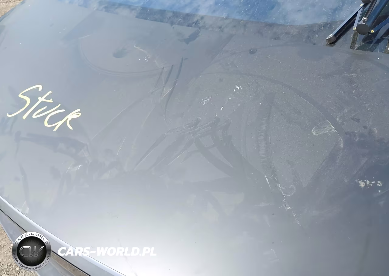 2024 Tesla Cybertruck All-Wheel Drive VIN:7G2CEHED6RA003471 - 17