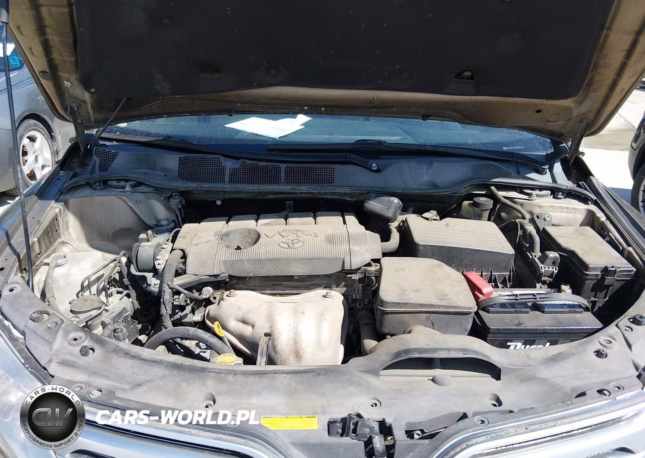 2010 Toyota Venza VIN:4T3ZA3BB3AU023399 - 10