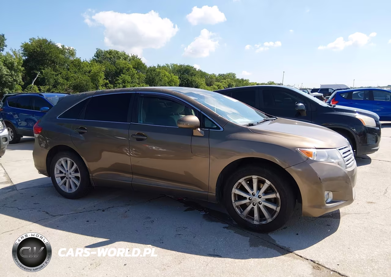 2010 Toyota Venza VIN:4T3ZA3BB3AU023399 - 13