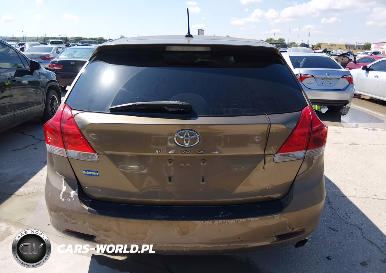 2010 Toyota Venza VIN:4T3ZA3BB3AU023399 - 16