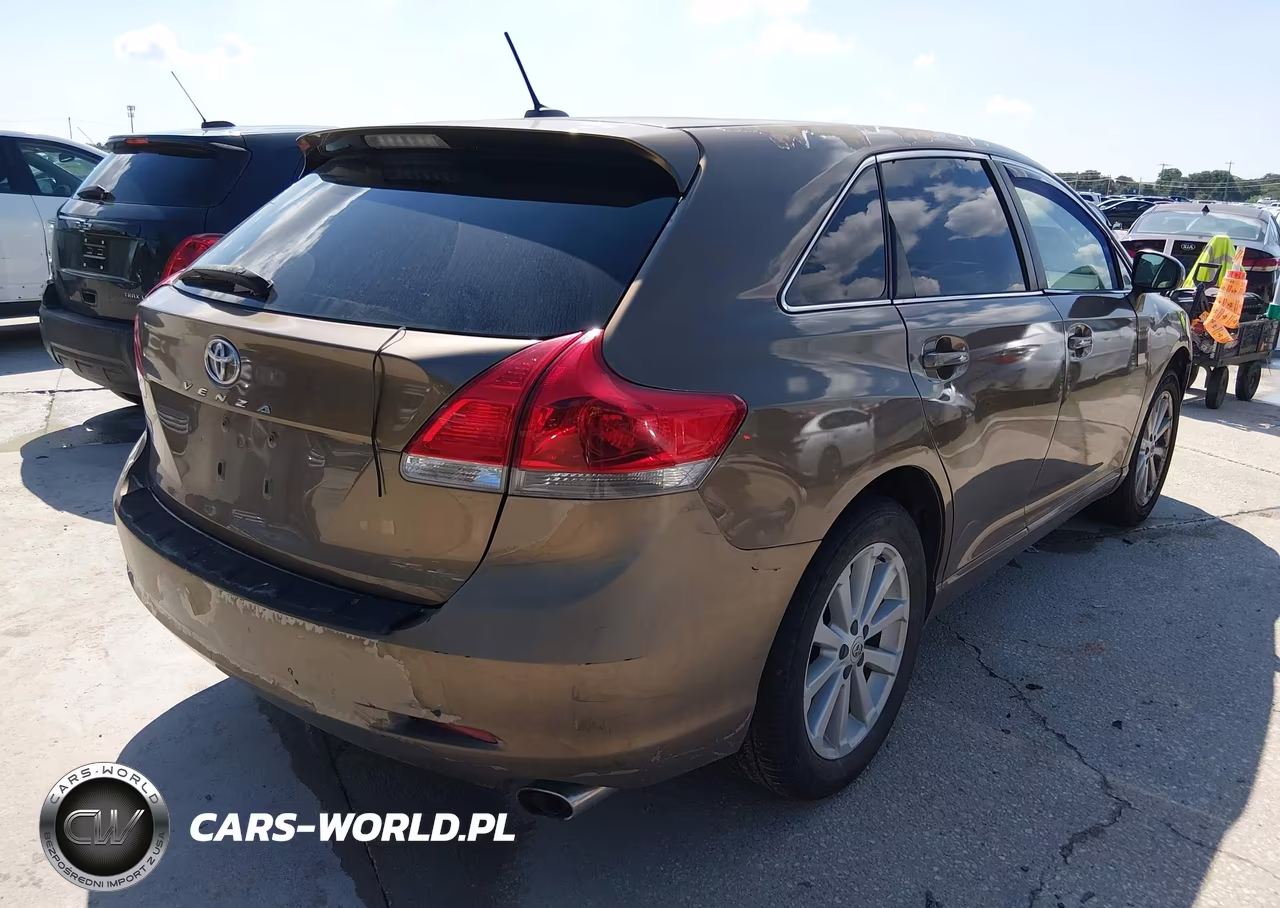 2010 Toyota Venza VIN:4T3ZA3BB3AU023399 - 4