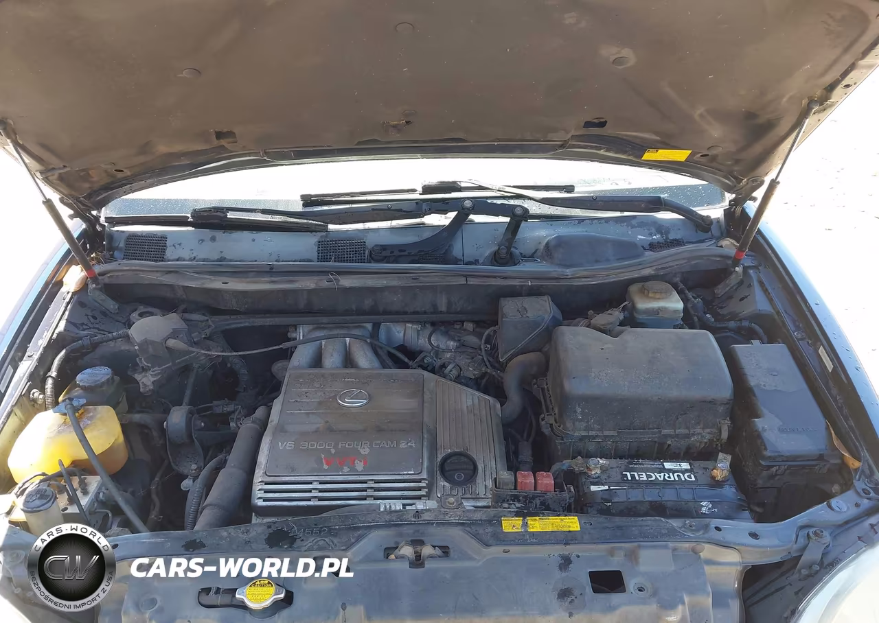 2002 Lexus Rx 300 VIN:JTJHF10U220277307 - 10