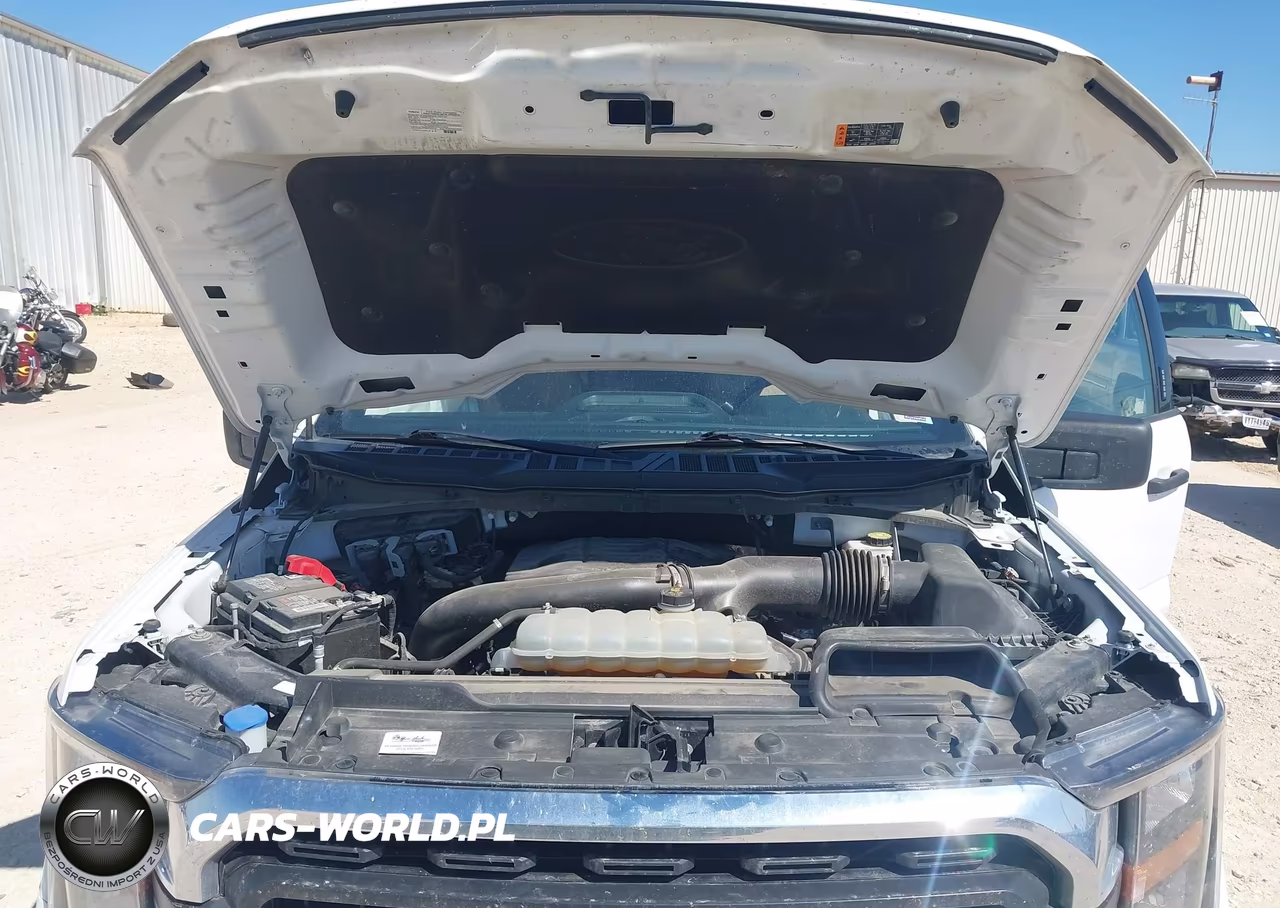 2023 Ford F-150 Xlt VIN:1FTFW1E84PKD80813 - 10