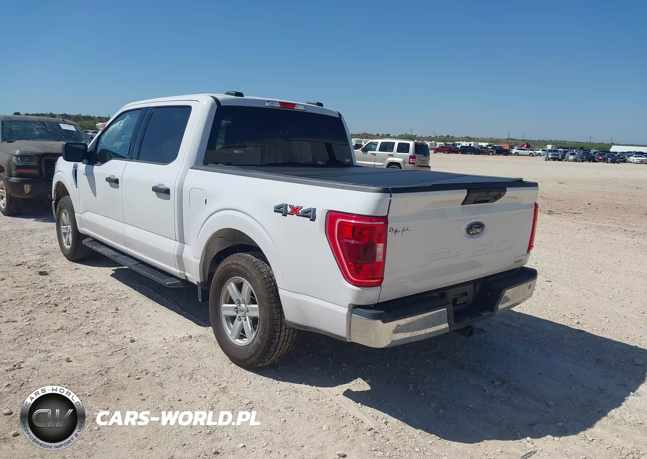 2023 Ford F-150 Xlt VIN:1FTFW1E84PKD80813 - 3