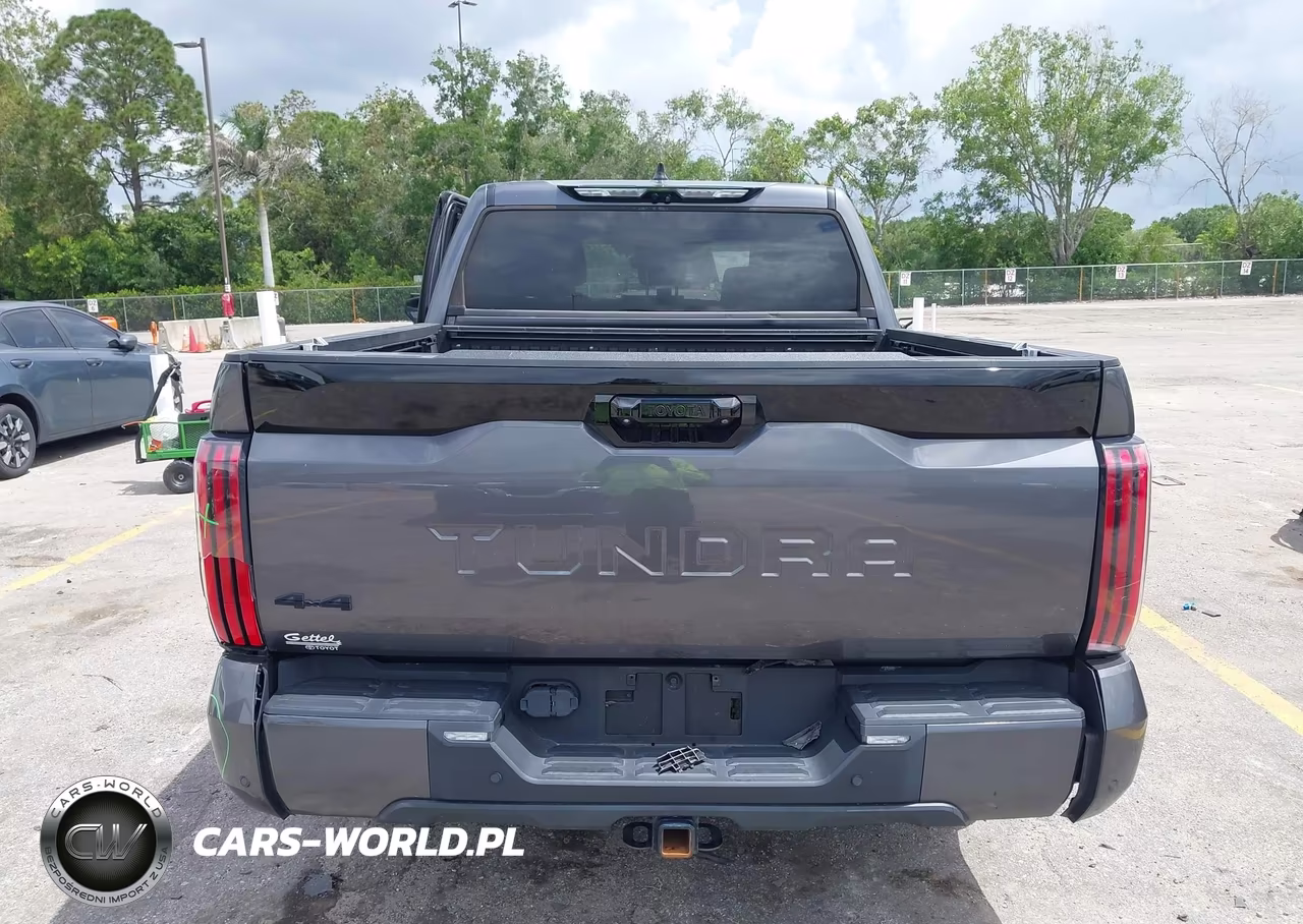 2023 Toyota Tundra Hybrid Platinum VIN:5TFNC5DB0PX030526 - 16