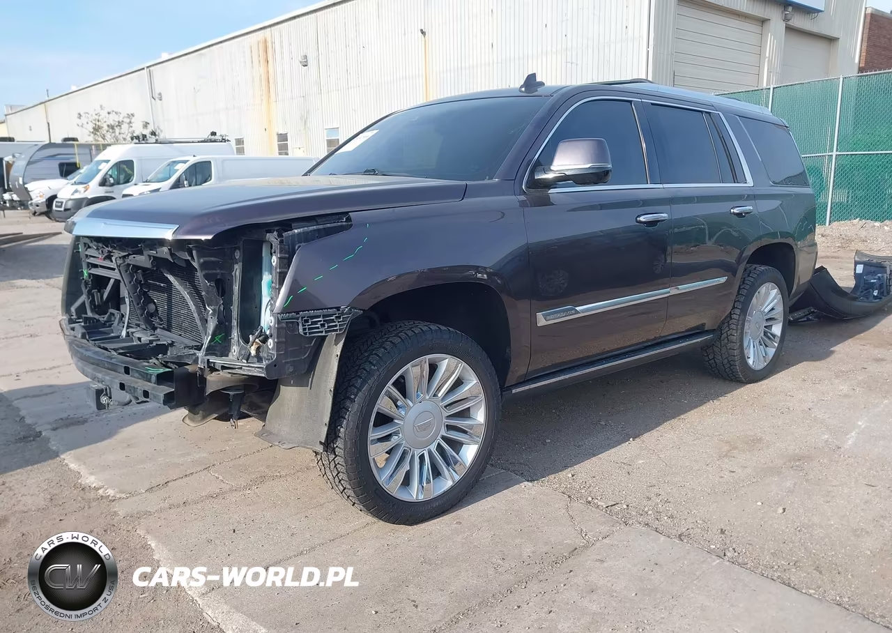 2016 Cadillac Escalade Premium Collection VIN:1GYS4CKJ1GR354341 - 2