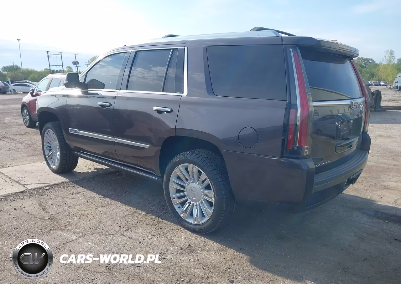 2016 Cadillac Escalade Premium Collection VIN:1GYS4CKJ1GR354341 - 3