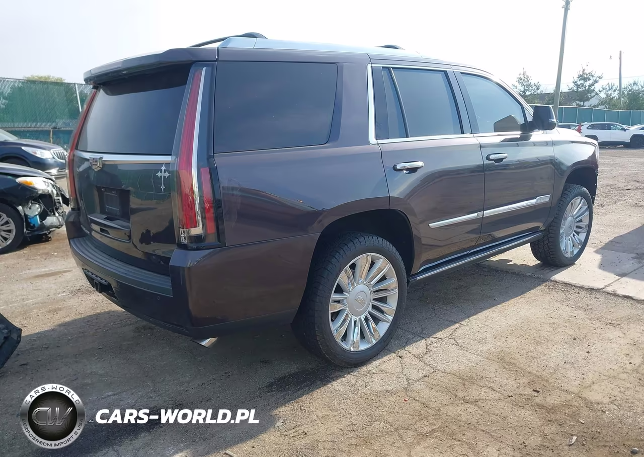 2016 Cadillac Escalade Premium Collection VIN:1GYS4CKJ1GR354341 - 4