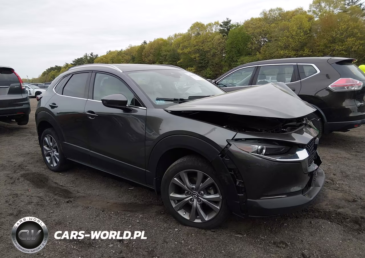 2023 Mazda Cx-30 2.5 S Premium VIN:3MVDMBDM5PM564974 - 1