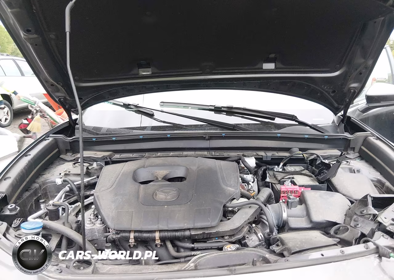 2023 Mazda Cx-30 2.5 S Premium VIN:3MVDMBDM5PM564974 - 10