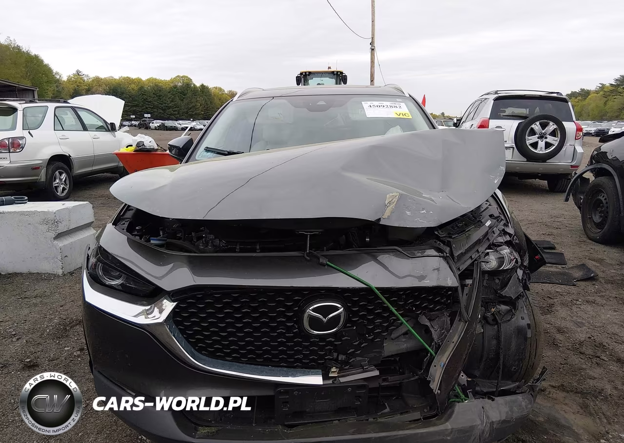 2023 Mazda Cx-30 2.5 S Premium VIN:3MVDMBDM5PM564974 - 12