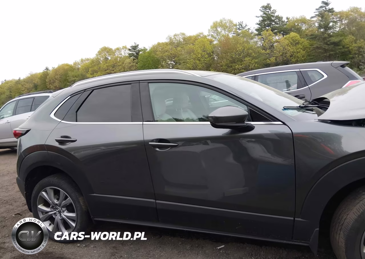 2023 Mazda Cx-30 2.5 S Premium VIN:3MVDMBDM5PM564974 - 13