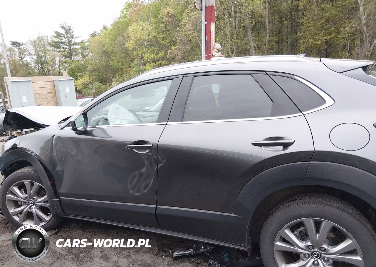 2023 Mazda Cx-30 2.5 S Premium VIN:3MVDMBDM5PM564974 - 14