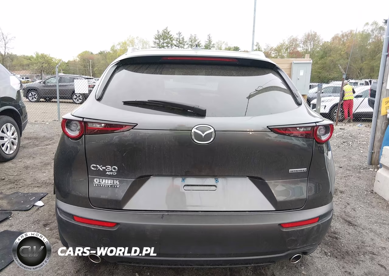 2023 Mazda Cx-30 2.5 S Premium VIN:3MVDMBDM5PM564974 - 16