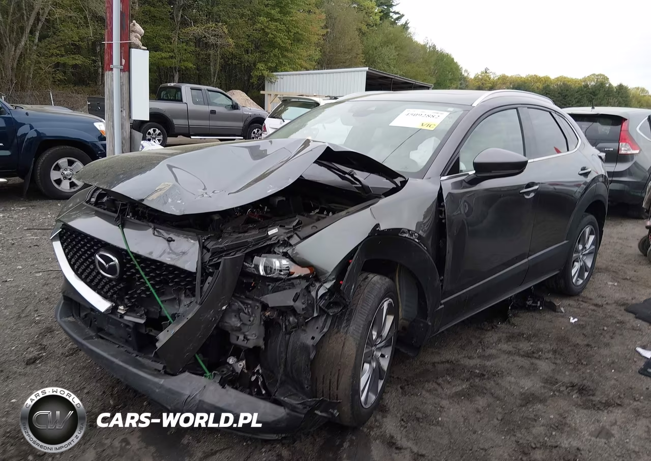 2023 Mazda Cx-30 2.5 S Premium VIN:3MVDMBDM5PM564974 - 2