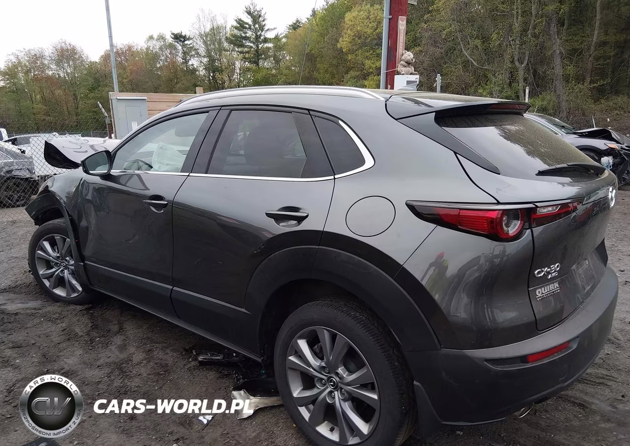 2023 Mazda Cx-30 2.5 S Premium VIN:3MVDMBDM5PM564974 - 3