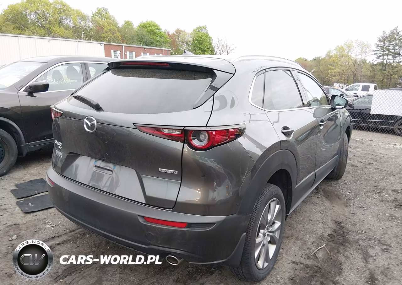 2023 Mazda Cx-30 2.5 S Premium VIN:3MVDMBDM5PM564974 - 4