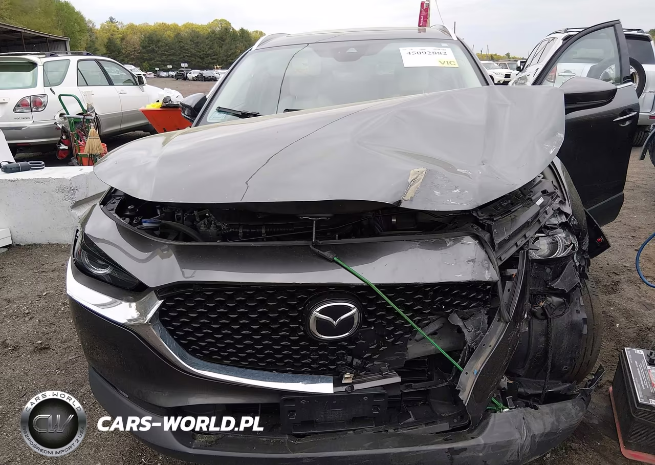 2023 Mazda Cx-30 2.5 S Premium VIN:3MVDMBDM5PM564974 - 6