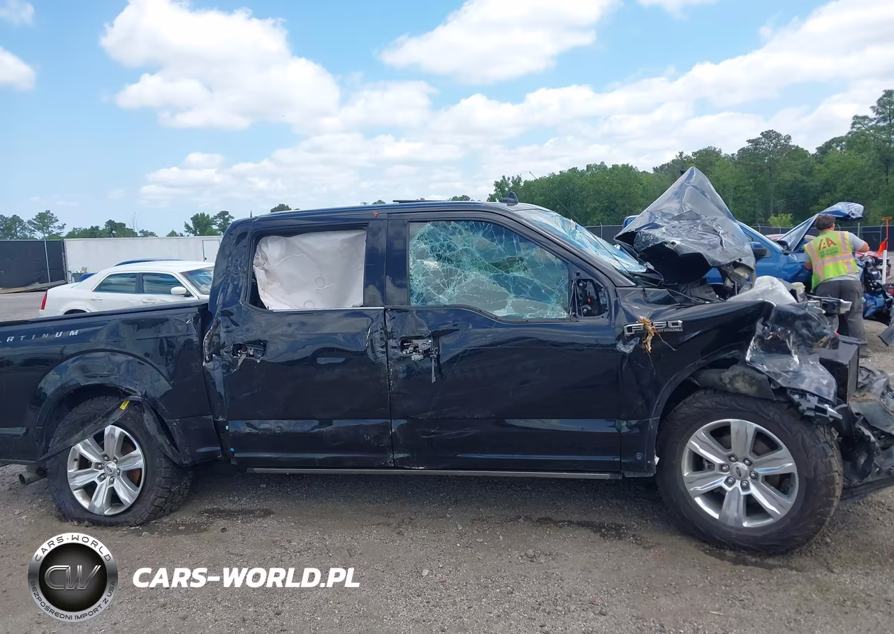 2019 Ford F-150 Platinum VIN:1FTEW1E4XKFD28418 - 13