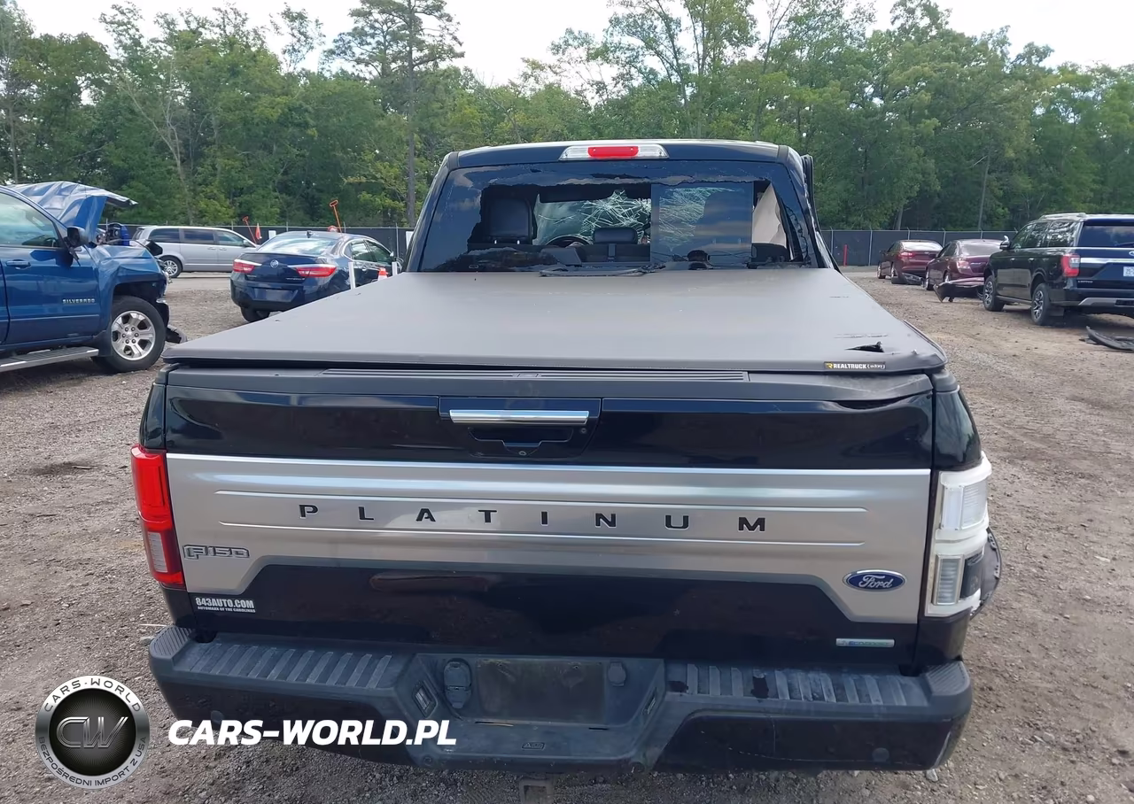 2019 Ford F-150 Platinum VIN:1FTEW1E4XKFD28418 - 16