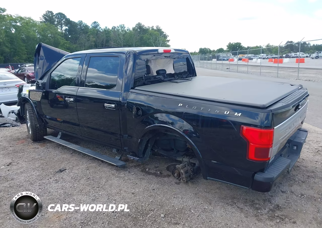 2019 Ford F-150 Platinum VIN:1FTEW1E4XKFD28418 - 3