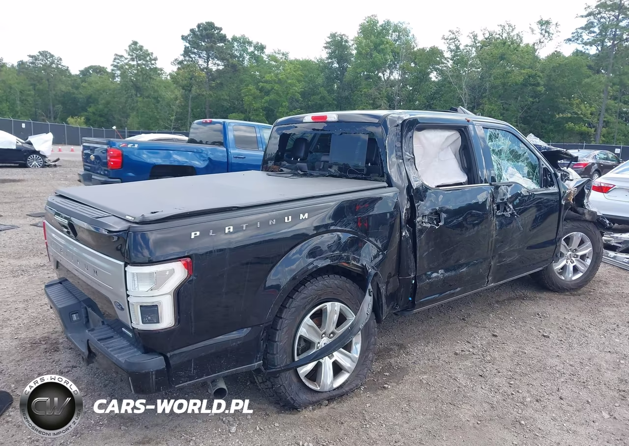 2019 Ford F-150 Platinum VIN:1FTEW1E4XKFD28418 - 4