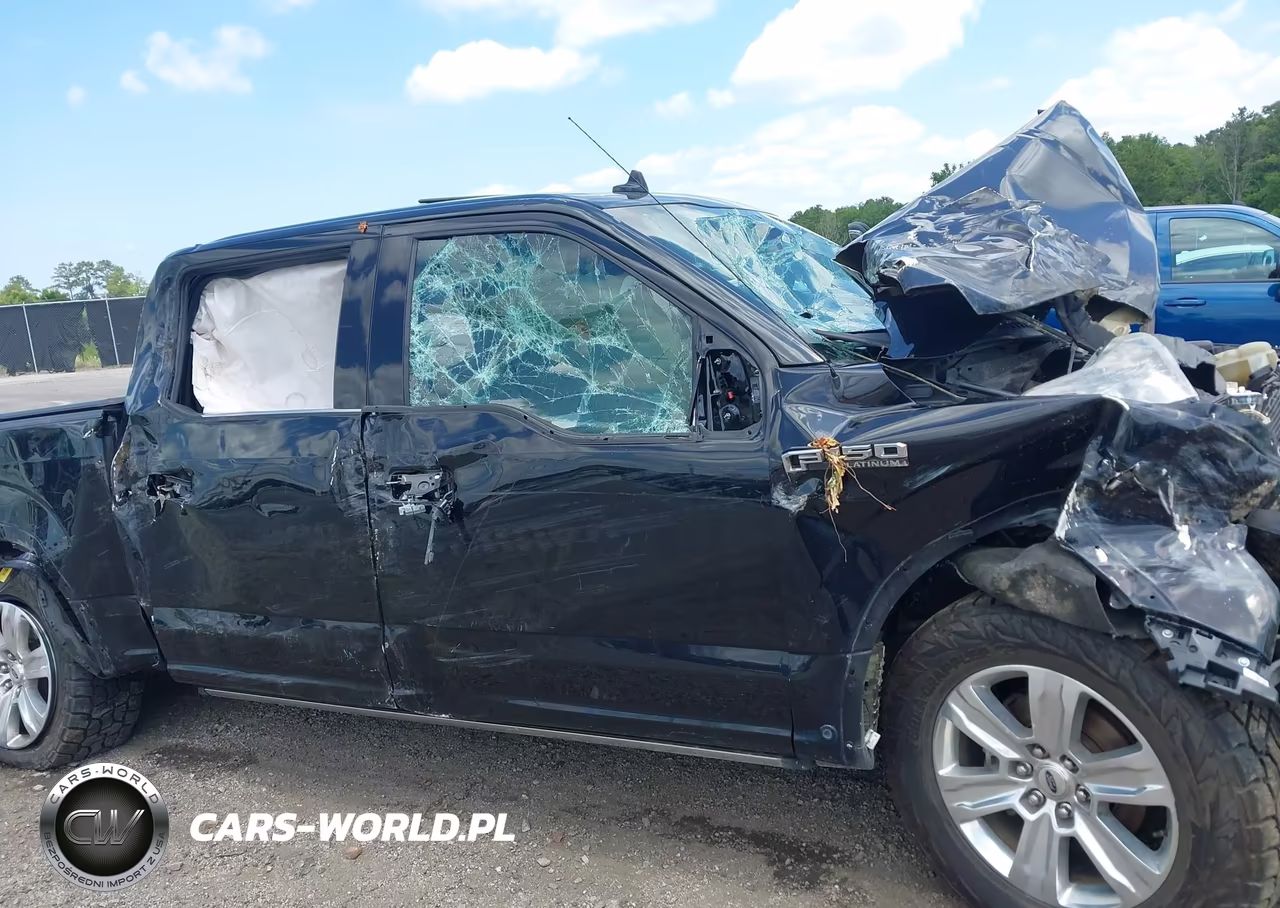 2019 Ford F-150 Platinum VIN:1FTEW1E4XKFD28418 - 6