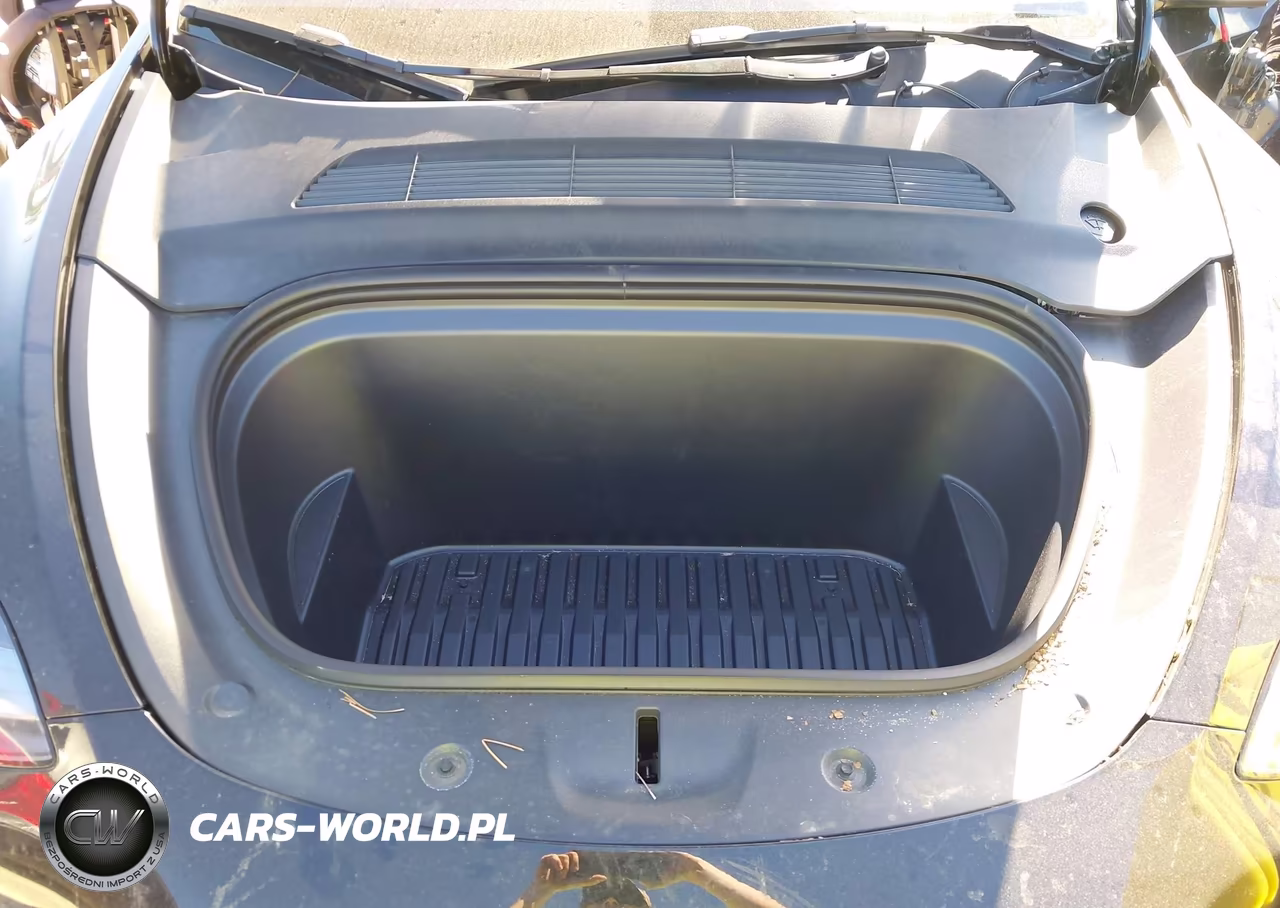 2025 Tesla Model Y Long Range Dual Motor Rear-Wheel Drive VIN:7SAYGDED4SA377551 - 10