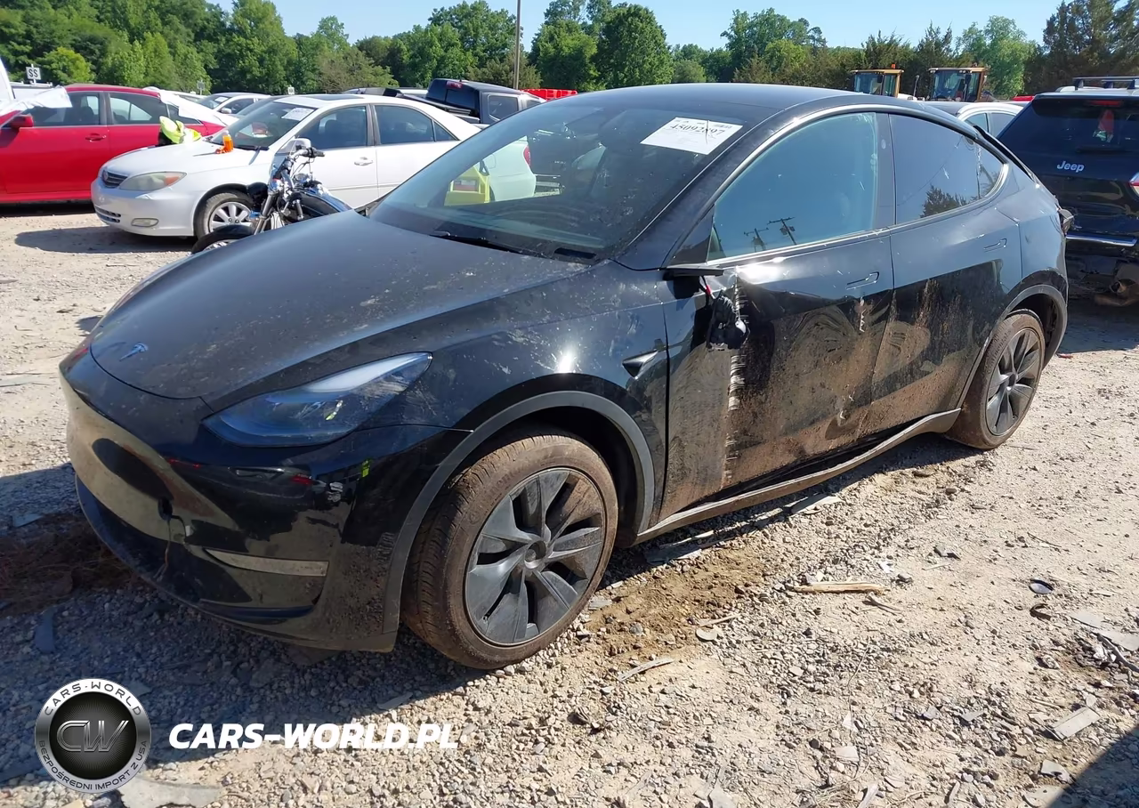 2025 Tesla Model Y Long Range Dual Motor Rear-Wheel Drive VIN:7SAYGDED4SA377551 - 2